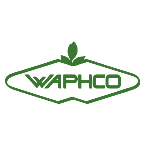 logos client 2